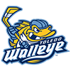 Official Chiropractor of the Toledo Walleye Logo